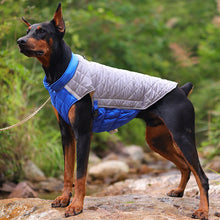 Carregar imagem no visualizador da galeria, Colete Pet Lunend
