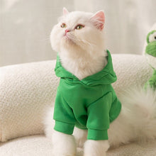 Carregar imagem no visualizador da galeria, Moletom Cute Dino
