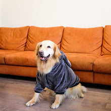 Carregar imagem no visualizador da galeria, Moletom Fofo Adventure
