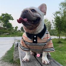 Carregar imagem no visualizador da galeria, Camiseta Polo Petli
