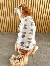 Carregar imagem no visualizador da galeria, Tricot Urso Zaion
