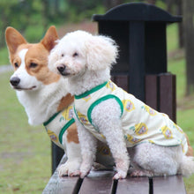 Carregar imagem no visualizador da galeria, Blusa Pet Romeo
