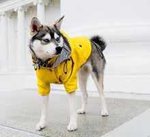 Carregar imagem no visualizador da galeria, Capa de Chuva com Listras
