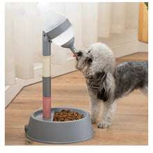 Carregar imagem no visualizador da galeria, Bebedouro Vertical &amp; Comedouro Bigs
