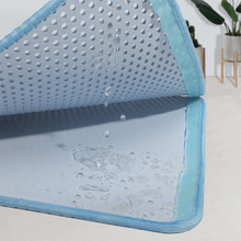 Carregar imagem no visualizador da galeria, Tapete de Areia Antiderrapante Para Gatos
