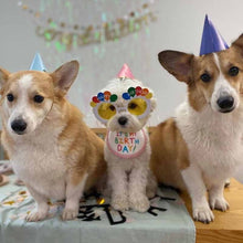 Carregar imagem no visualizador da galeria, Bandana Feliz Aniversário | Para Cachorro
