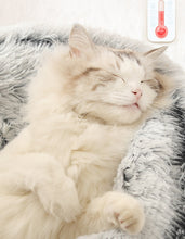 Carregar imagem no visualizador da galeria, Toquinha Nuvem | Para Cachorro e Gato
