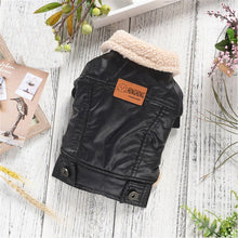 Carregar imagem no visualizador da galeria, Jaquetinha de Couro | Para Cachorro
