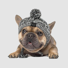 Carregar imagem no visualizador da galeria, Gorro Pet | Para Cachorro e Gato
